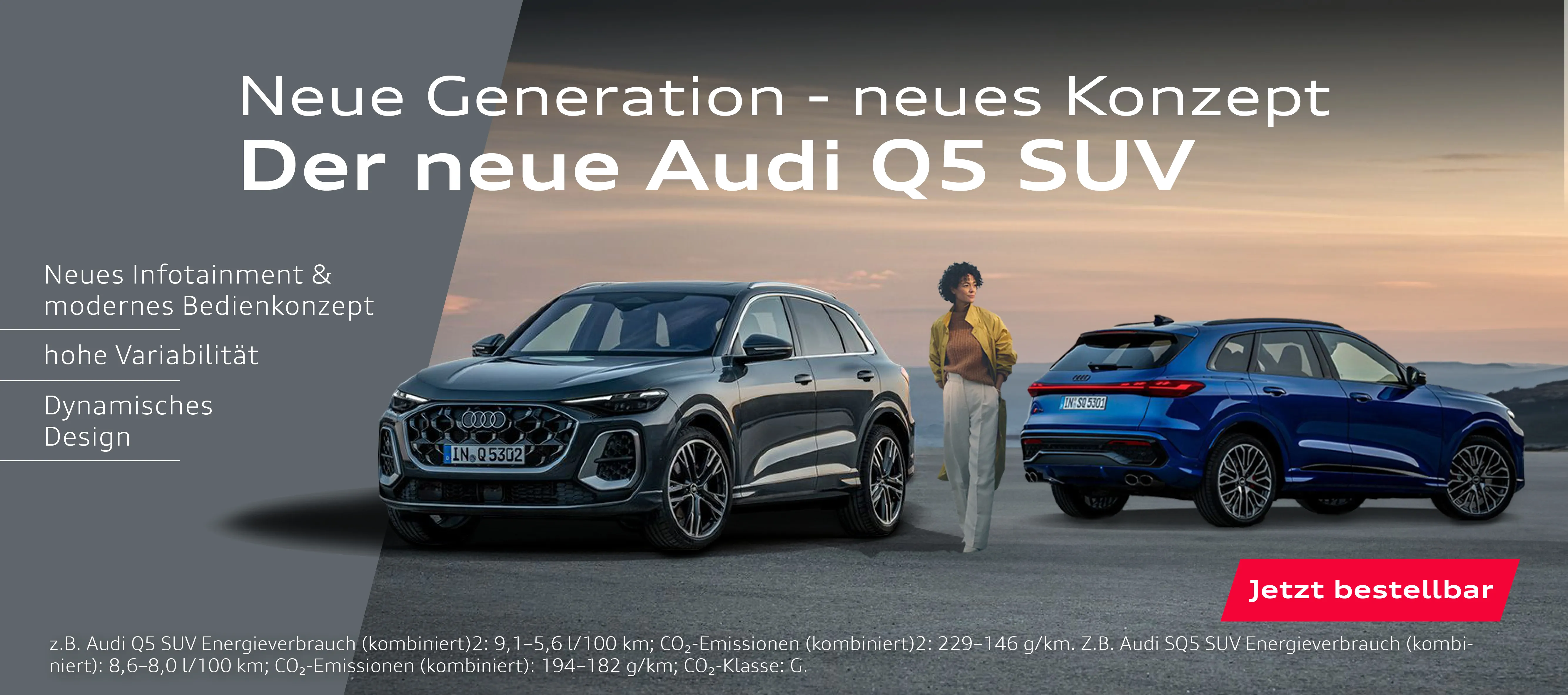 Auto Birne Bad Doberan Autohändler PKW SALE der neue Audi Q5 Aktion Werkstatt + Leasing