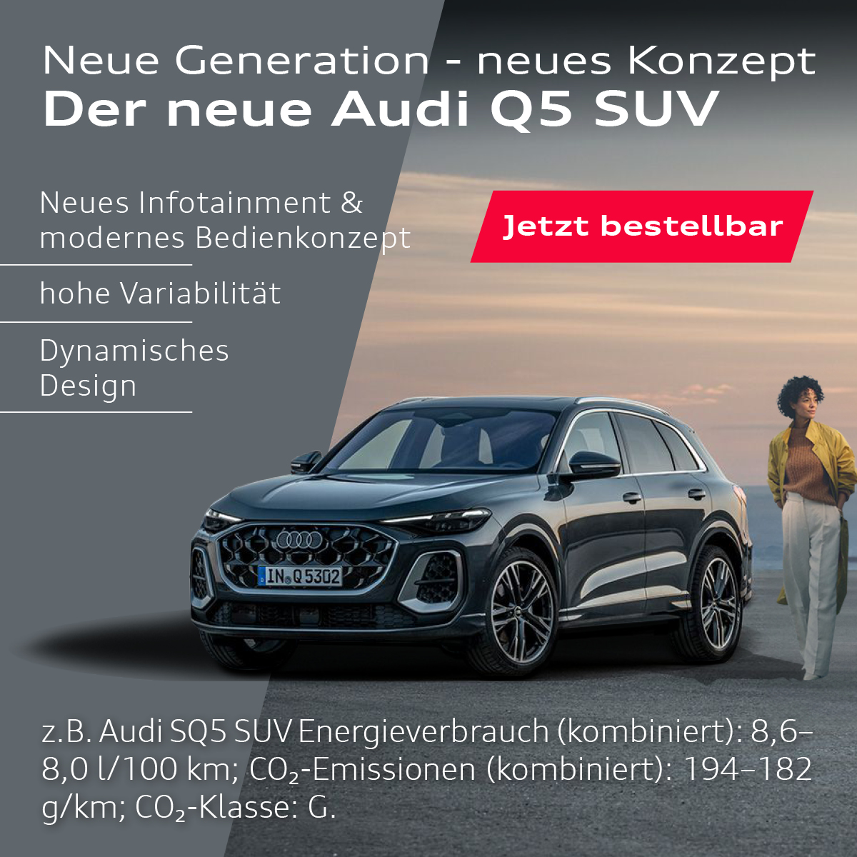 Auto Birne Bad Doberan Autohändler PKW SALE der neue Audi Q5 Aktion Werkstatt + Leasing